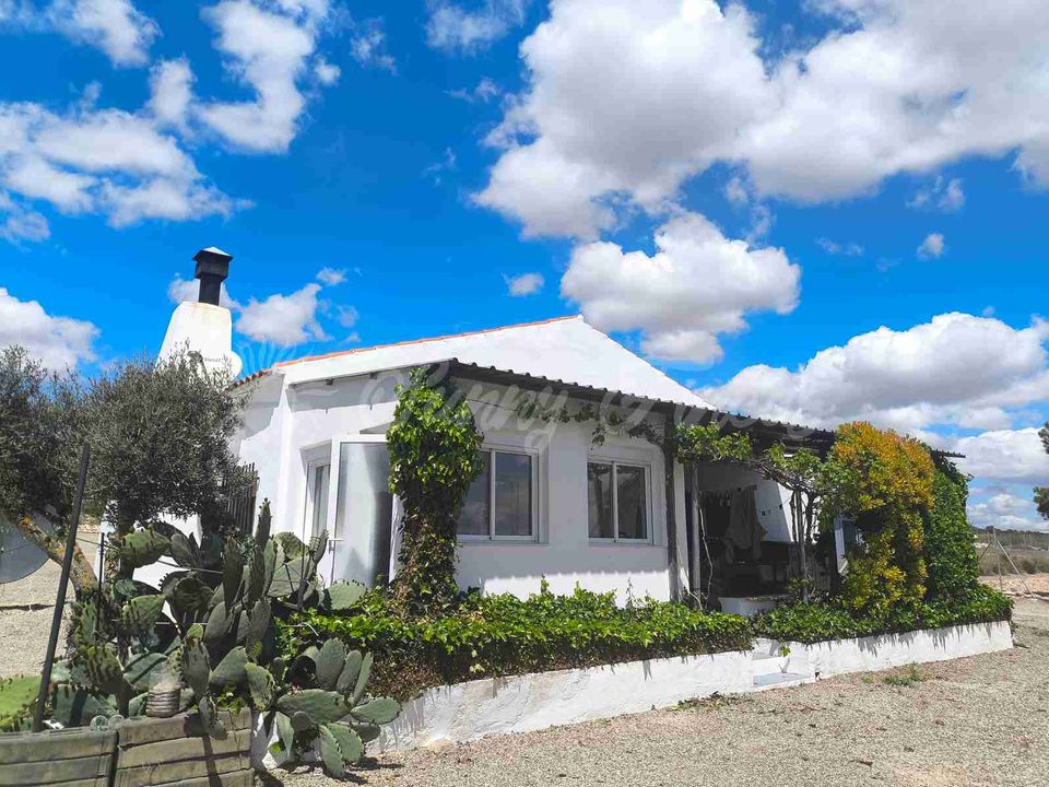 Landejendom i Yecla, Murcia - foto 1